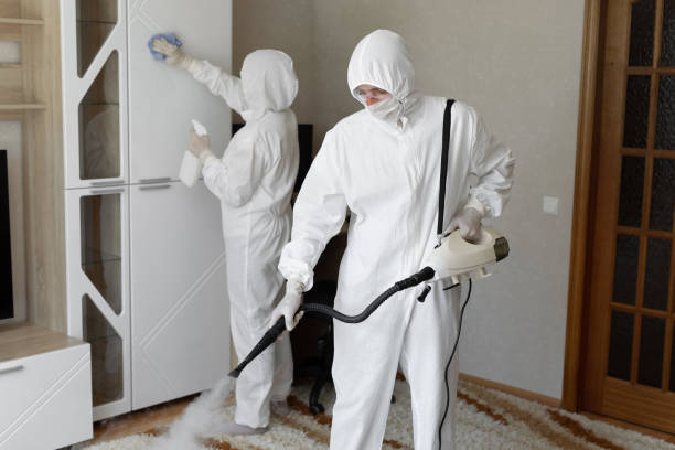Home Mold Removal in Sturgeon, MO