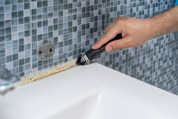 Best Local Mold Removal Service  in Sturgeon, MO
