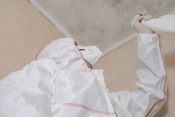Office Mold Removal Services in Sturgeon, MO